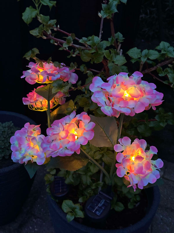 GlowFlora – Dein Garten beginnt zu leuchten!