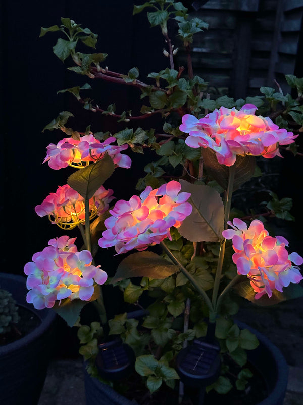 GlowFlora – Dein Garten beginnt zu leuchten!