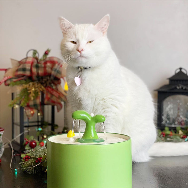 Katzenbrunnen | SpringFlow | Keramik mit Doppelfilter | Leise & Hygienisch | Für Katzen & Kleine Hunde