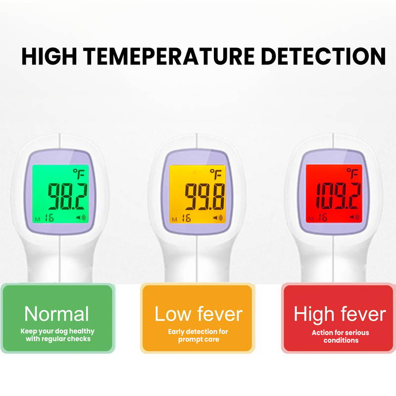 PawTemp – Stressfreie Temperaturkontrolle für Hunde!