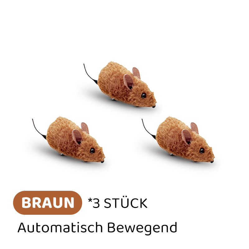 2+1 GRATIS | PawChase – Jagen, spielen, juchzen der Spaß für deine Katze!