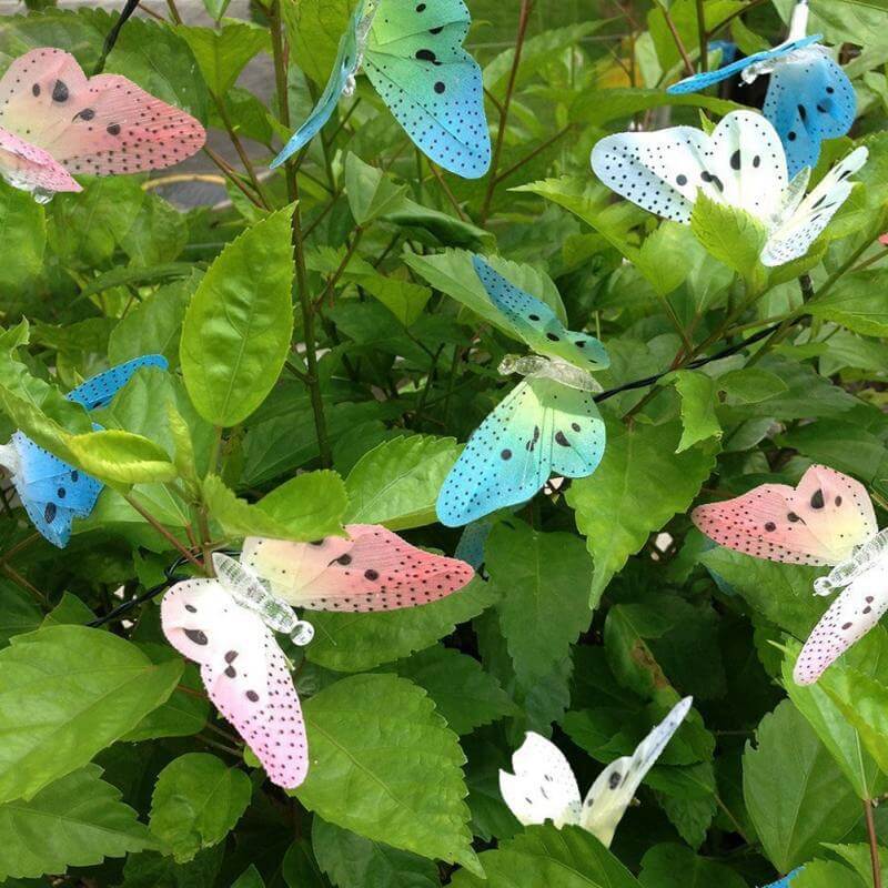 LumiWings – Verwandle deinen Garten und dein Zuhause in ein magisches Märchenreich!
