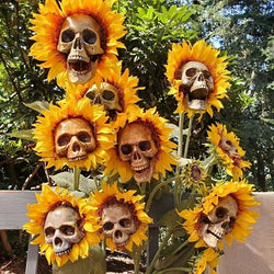 BloomSkull – Die faszinierend schöne Sonnenblume, perfekt für Halloween!