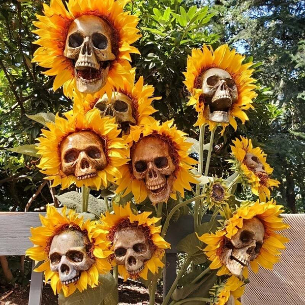 BloomSkull – Die faszinierend schöne Sonnenblume, perfekt für Halloween!