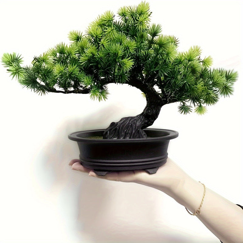 ZenFlora Bonsai | 24 cm | Immergrün & Pflegefrei | Mit Schwarzem Topf