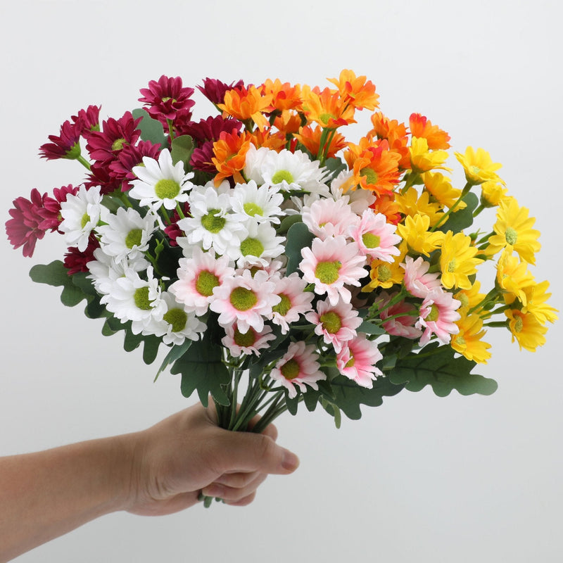 2+1 GRATIS | BloomoraSunset – Zeitlose herbstliche Pracht