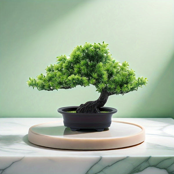ZenFlora Bonsai | 24 cm | Immergrün & Pflegefrei | Mit Schwarzem Topf