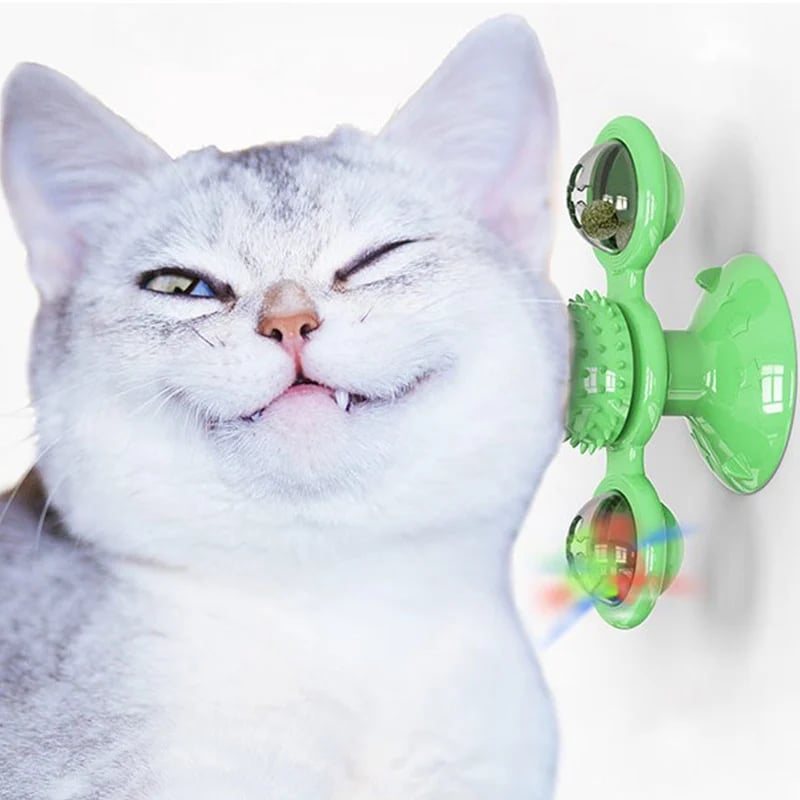 SpinPaw – Endloser Spielspaß & Bewegung für Ihre Katze!