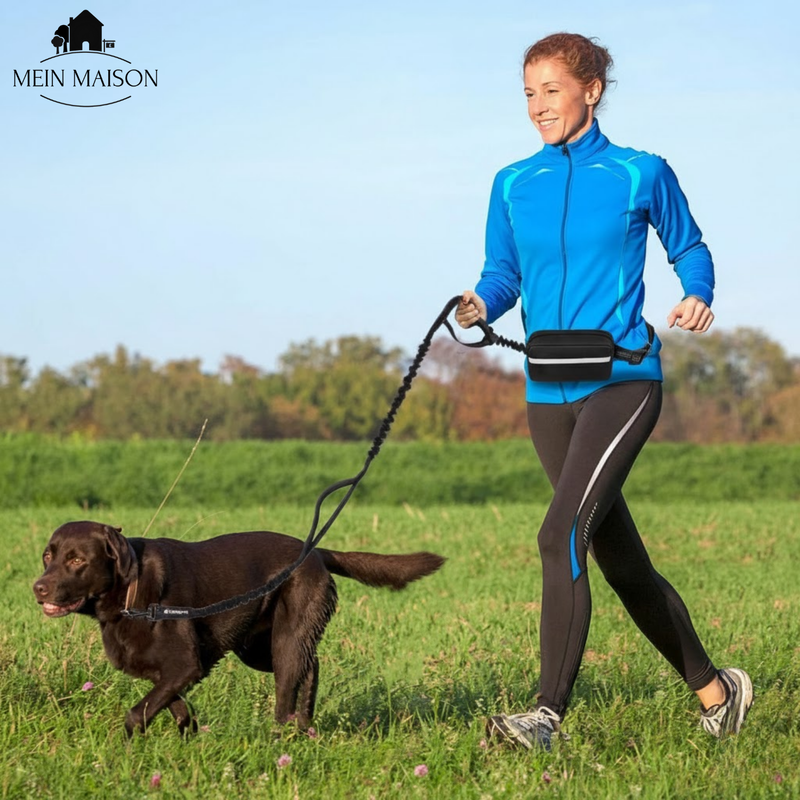 BestBuddy – Freiheit und Kontrolle bei jedem Spaziergang erleben!