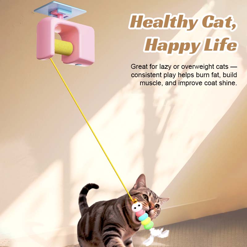 PawRush – Das smarte Jagdspiel für Katzen!