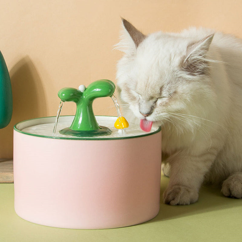 Katzenbrunnen | SpringFlow | Keramik mit Doppelfilter | Leise & Hygienisch | Für Katzen & Kleine Hunde