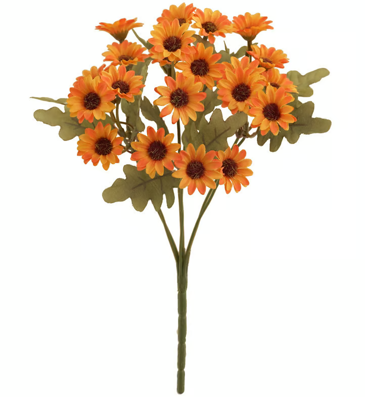 AutumnBloom – Dauerhafte Herbstschönheit ganz ohne Pflege!
