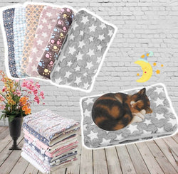 CozyPaw – Ultimatives tiefenentspannendes Erlebnis für Ihre Katze!