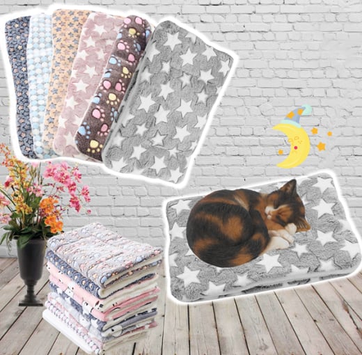 CozyPaw – Ultimatives tiefenentspannendes Erlebnis für Ihre Katze!
