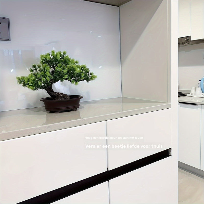 ZenFlora Bonsai | 24 cm | Immergrün & Pflegefrei | Mit Schwarzem Topf