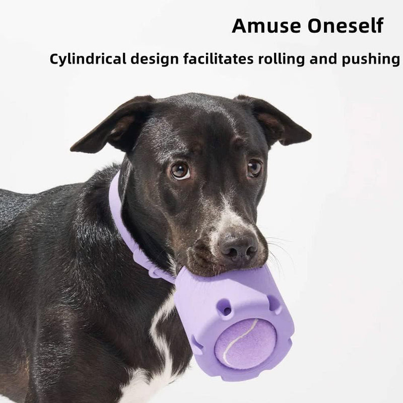 ChewJoy Pro – Gesunde Zähne, glücklicher Hund