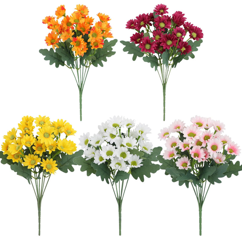 1+1 GRATIS | EverDaisies – Zeitlose Strahlkraft, die bleibt!