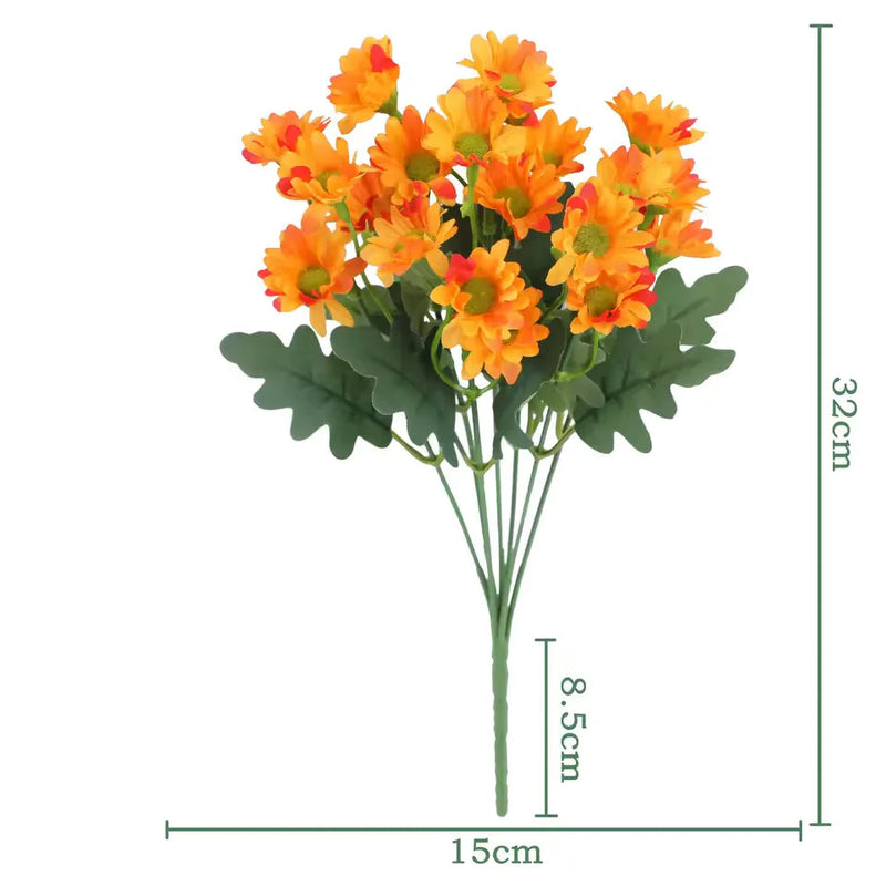 1+1 GRATIS | EverDaisies – Zeitlose Strahlkraft, die bleibt!