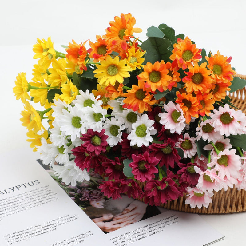 2+1 GRATIS | BloomoraSunset – Zeitlose herbstliche Pracht