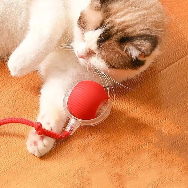40 Stück Katzenbälle | Buntes Spielzeug-Set Für Indoor-Katzen | Flauschige Pompom-Bälle