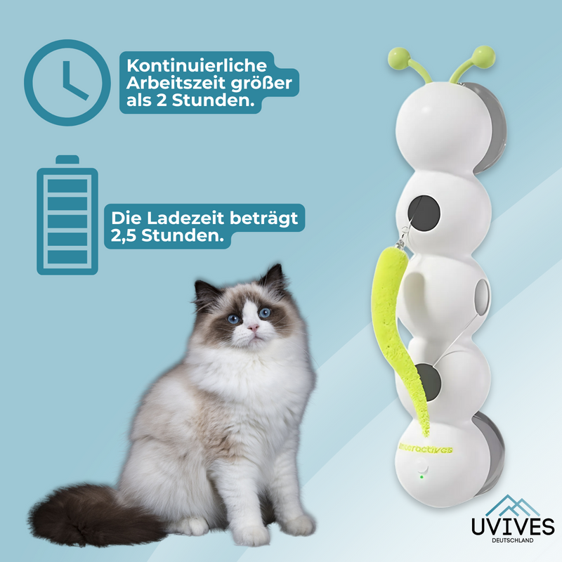PurrChase – Jagen, toben, glücklich sein!