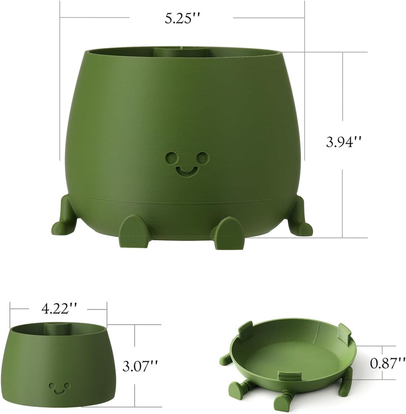 BloomBuddy – Glückliche Pflanzen, fröhliches Zuhause