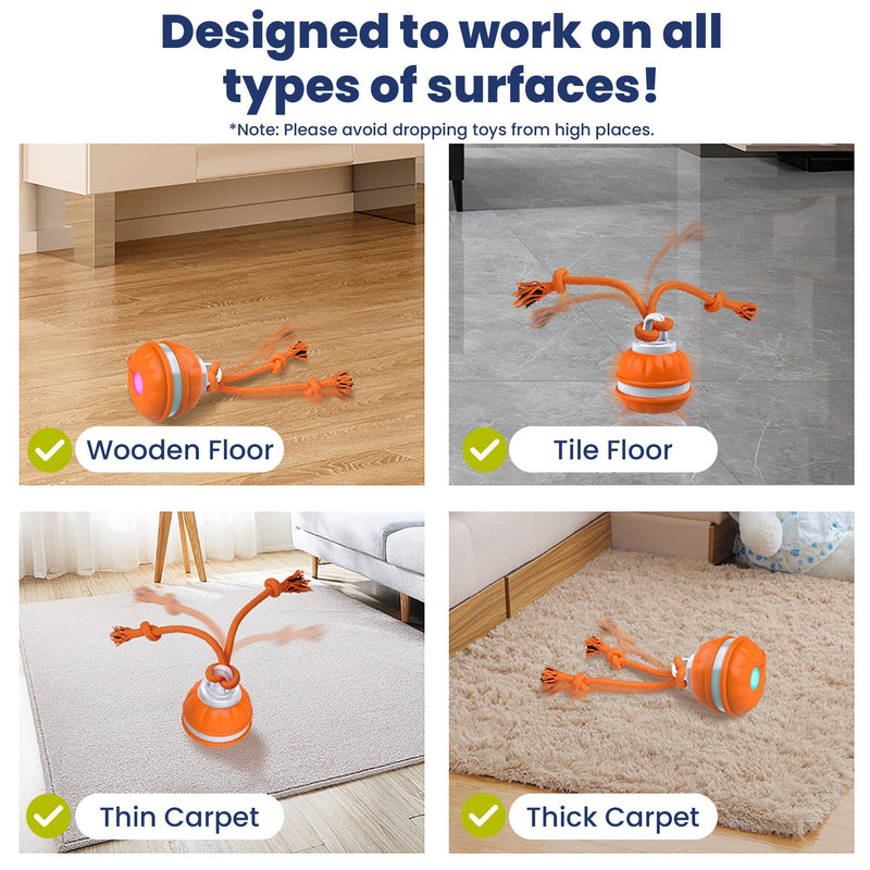 PawiBall – Endlich ein glücklicher und gut ausgelasteter Hund