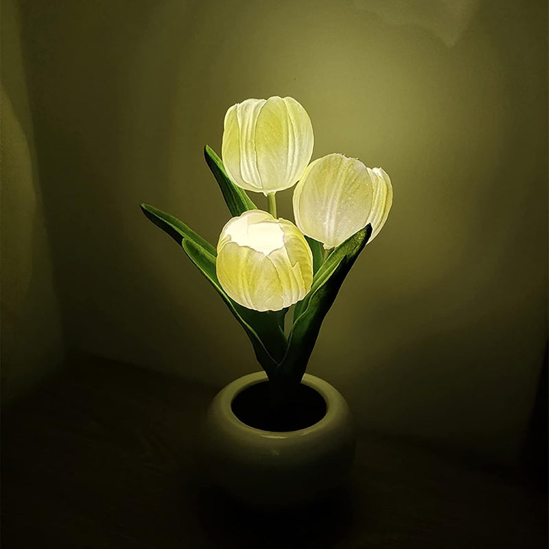 BloomTulip – Eine Verschmelzung von Romantik und Licht!