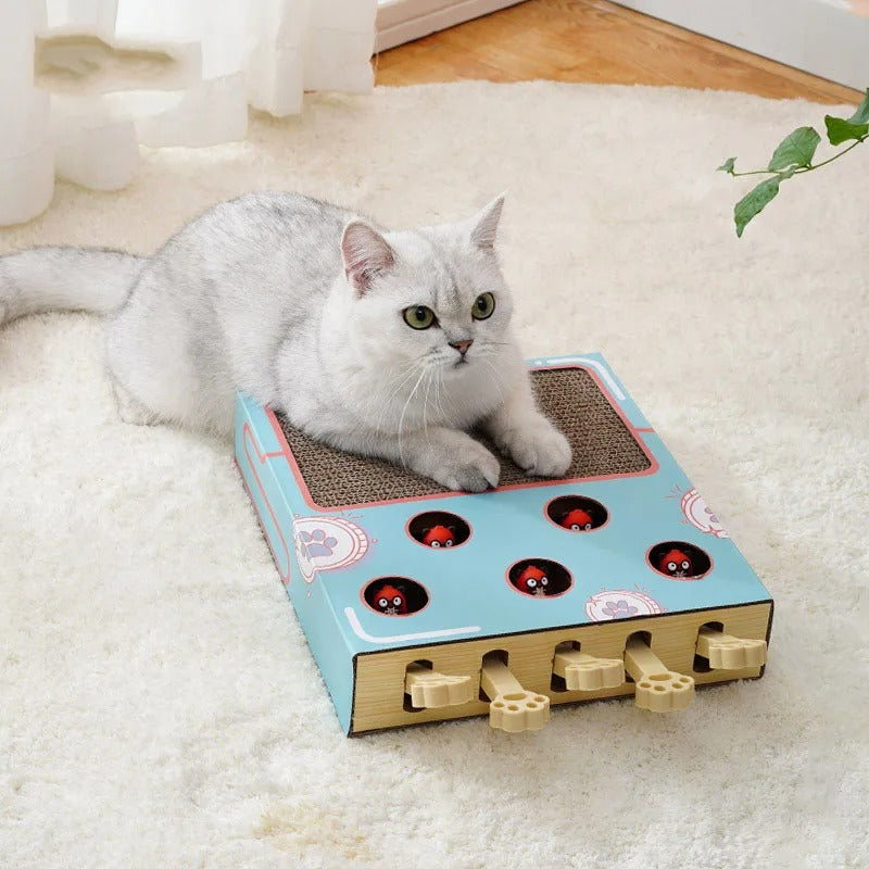 ScratchNest – Kratzen, Spielen & Chillen an einem Ort!