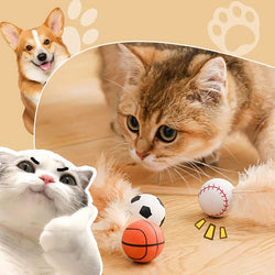 FeatherBounce – Spannender Spielspaß für energiegeladene Katzen!