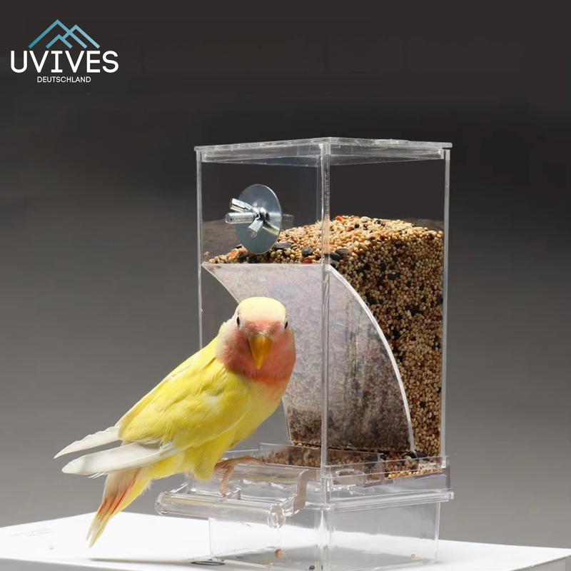 BirdFeed – Saubere Fütterung, zufriedene Vögel, weniger Aufwand