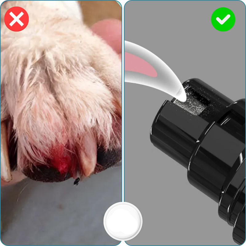 TrimPaw – Pfotenpflege ohne Stress