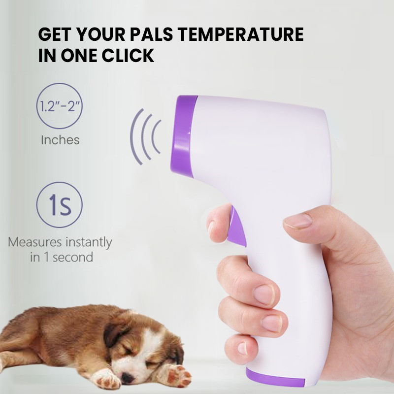 PawTemp – Stressfreie Temperaturkontrolle für Hunde!