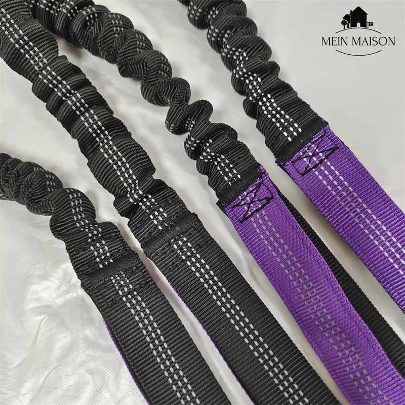 BestBuddy – Freiheit und Kontrolle bei jedem Spaziergang erleben!