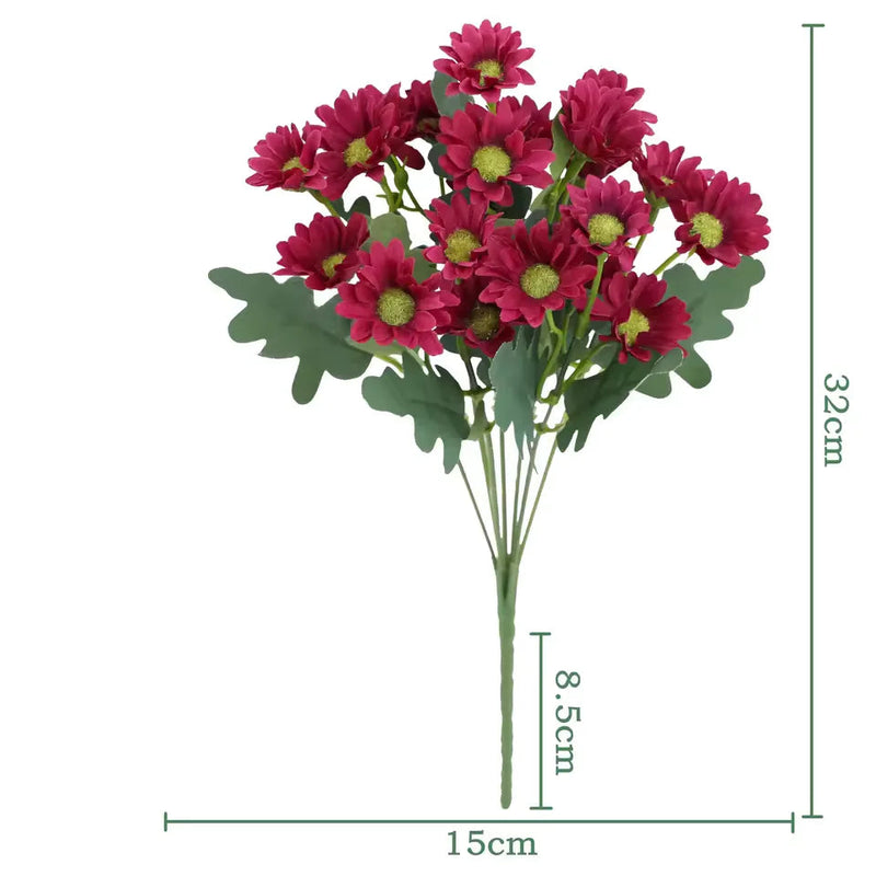 1+1 GRATIS | EverDaisies – Zeitlose Strahlkraft, die bleibt!