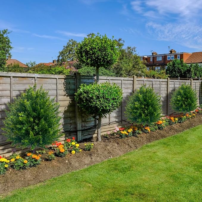 1+1 GRATIS | EverGreen – Zeitlose Immergrüne Schönheit ohne Pflege!