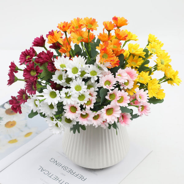 2+1 GRATIS | BloomoraSunset – Zeitlose herbstliche Pracht