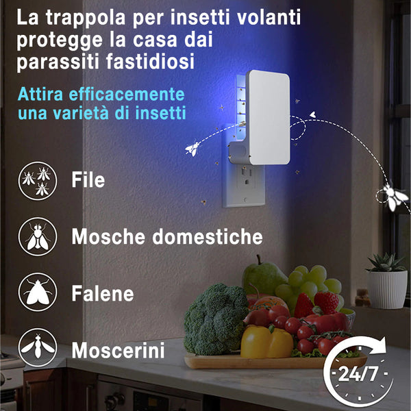 AntiInsect 360 – Verabschieden Sie sich für immer von Fruchtfliegen in Ihrer Küche!
