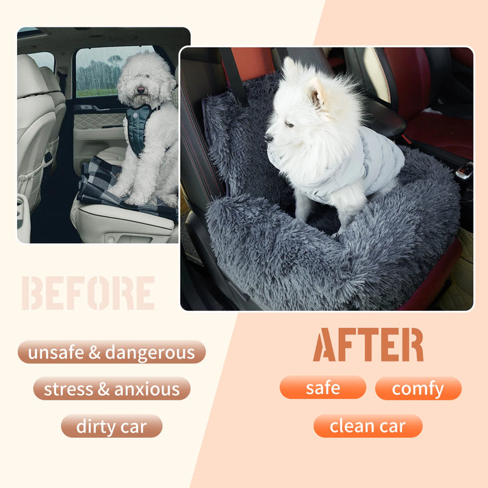CarPaw – Ruhig und sicher mit Ihrem Hund reisen!