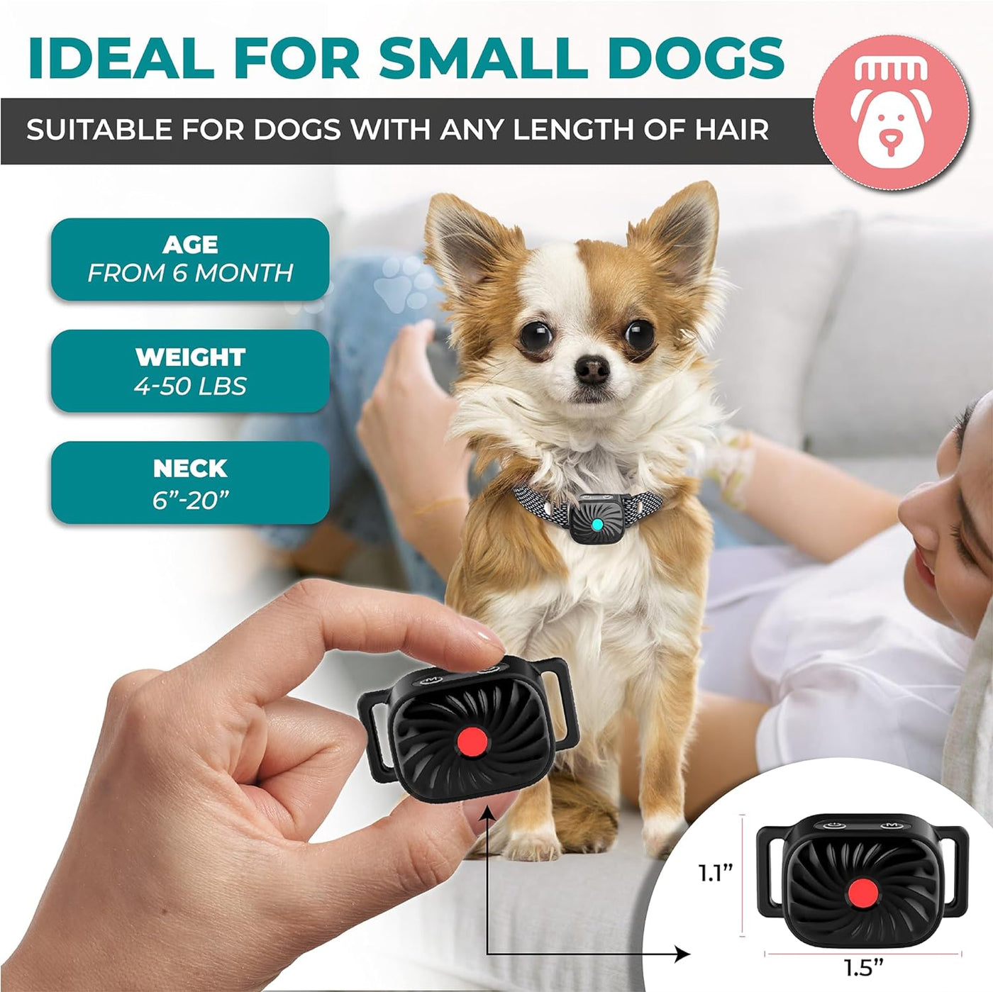 BelloSilent Antibellhalsband fr kleine Hunde | Mit Ton & Vibration | Mein Maison BelloSilent Antibellhalsband fr kleine Hunde | Mit Ton & Vibration | Mein Maison