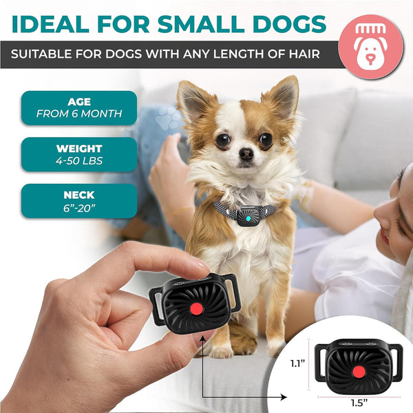 BelloSilent Antibellhalsband für kleine Hunde | Mit Ton & Vibration | IP87 Wasserdicht | Verstellbar & sanft im Training
