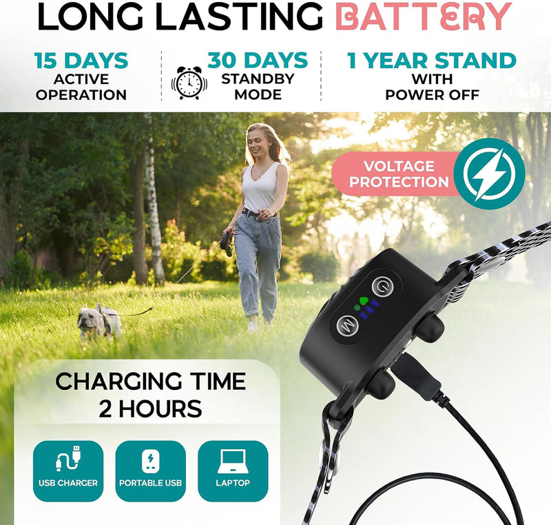BelloSilent Antibellhalsband für kleine Hunde | Mit Ton & Vibration | IP87 Wasserdicht | Verstellbar & sanft im Training