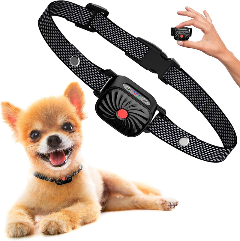 BelloSilent Antibellhalsband fr kleine Hunde | Mit Ton & Vibration | Mein Maison BelloSilent Antibellhalsband fr kleine Hunde | Mit Ton & Vibration | Mein Maison
