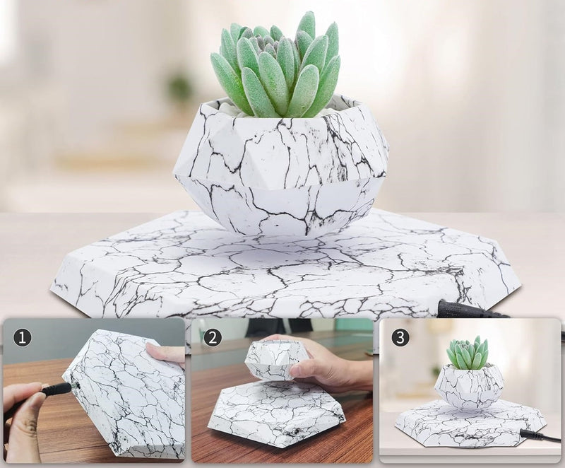 Plantlev – Deine Pflanze in der Schwebe!