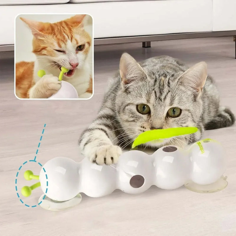 CatWhirl – Holt den wilden Jäger zurück!