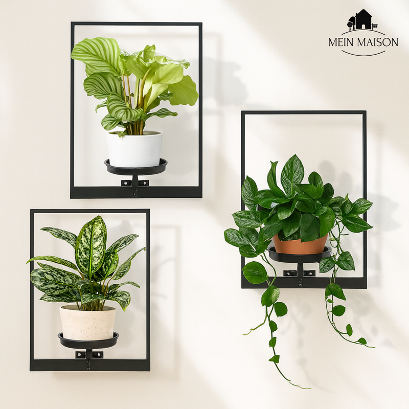 VerdeFrame – Mehr Platz, verbesserter Stil, näher an der Natur!