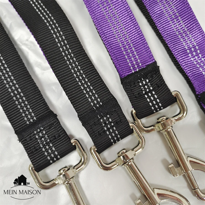 BestBuddy – Freiheit und Kontrolle bei jedem Spaziergang erleben!