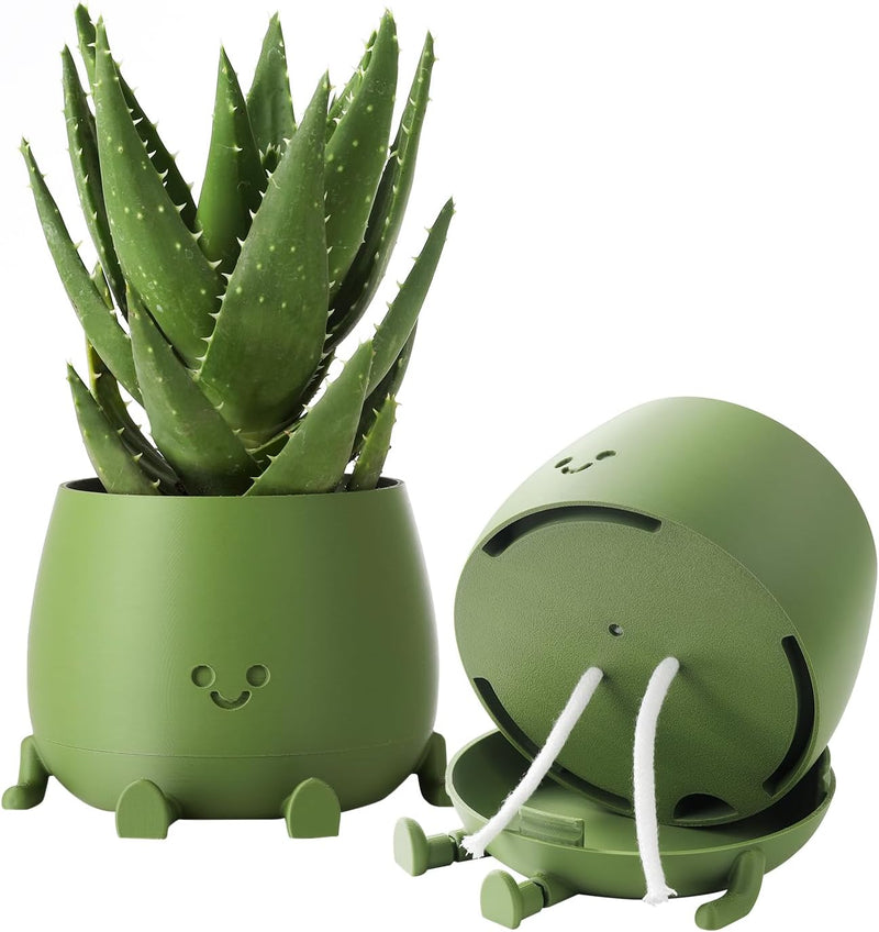 BloomBuddy – Glückliche Pflanzen, fröhliches Zuhause