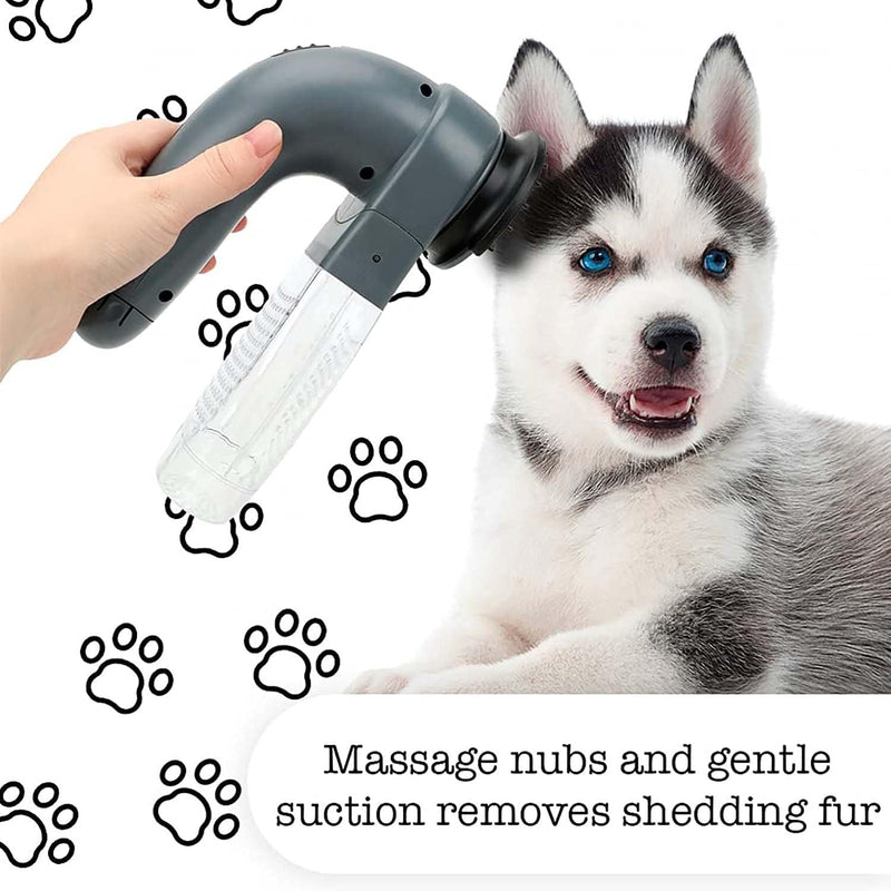 CleanFur – Entfernt hartnäckige Tierhaare dauerhaft!