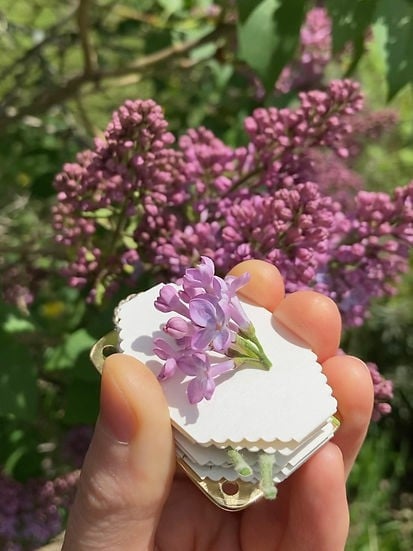 FloraKeep – Halten Sie Ihre geliebten Blumen für immer frisch!